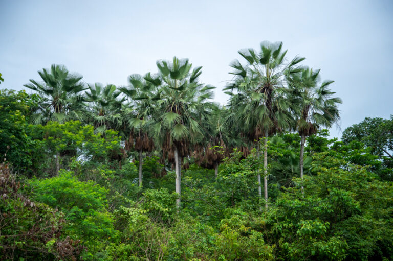 Fazenda Raposa_foto_Jose Sobrinho_4